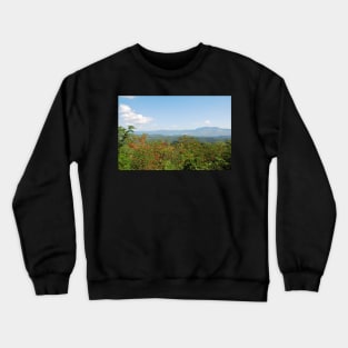 Landscape Around Gracisce Crewneck Sweatshirt